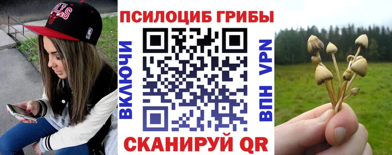 Галлюциногенные грибы мухоморы  Темников 